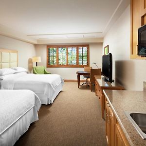 Larger Guest room 2 Queen